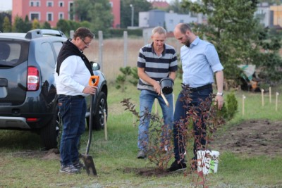 Piknik rodzinny!