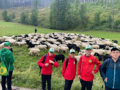 Obóz sportowo-rekreacyjny w Zakopanem - podsumowanie