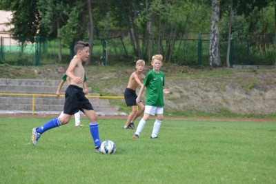 1081_900.jpg