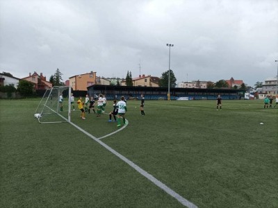 4303_900.jpg